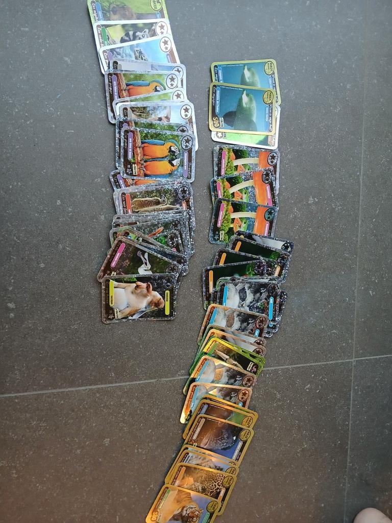 Cartes rares du WWF, Enlèvement