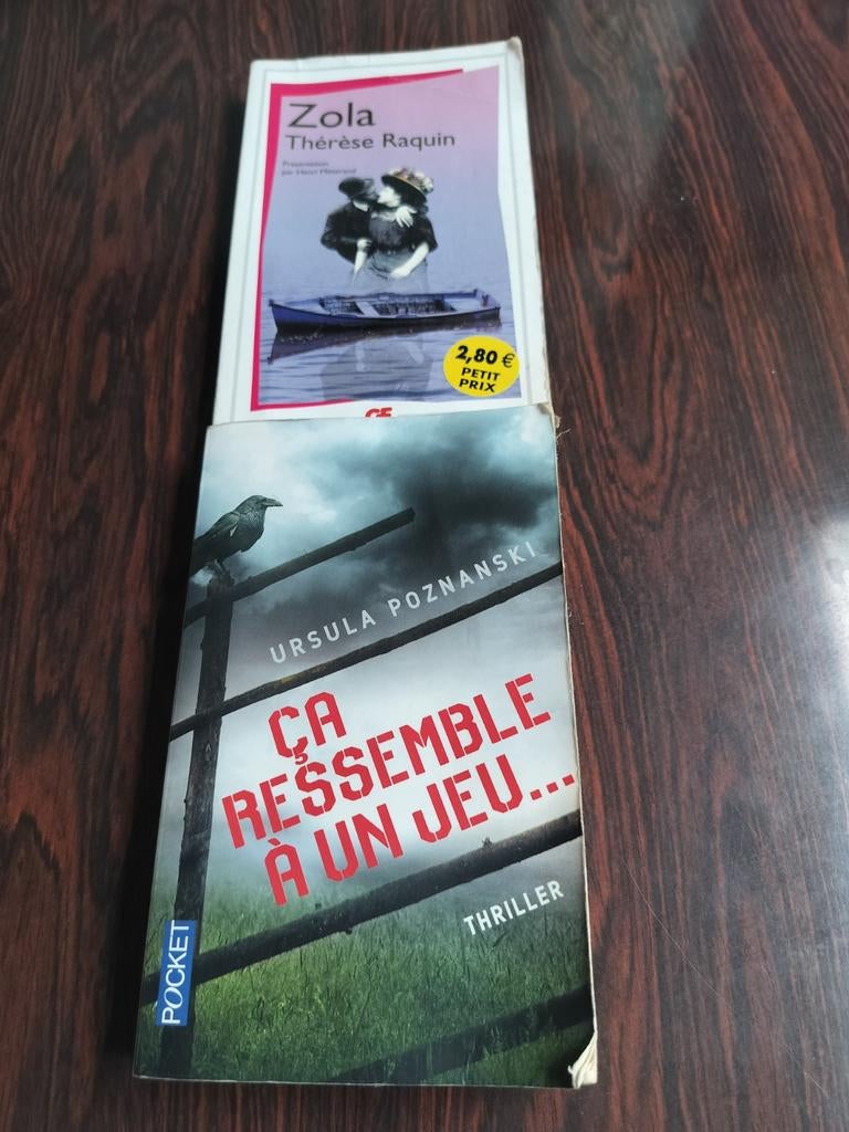 Livre 1€ pièce, Livres, Livres Autre, Utilisé, Enlèvement ou Envoi