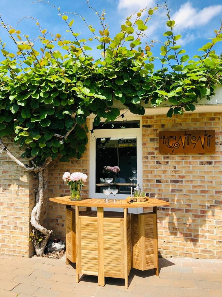 Teak Bar Inklapbaar voor buiten en binnen., Huis en Inrichting, Barren, Ophalen, Nieuw