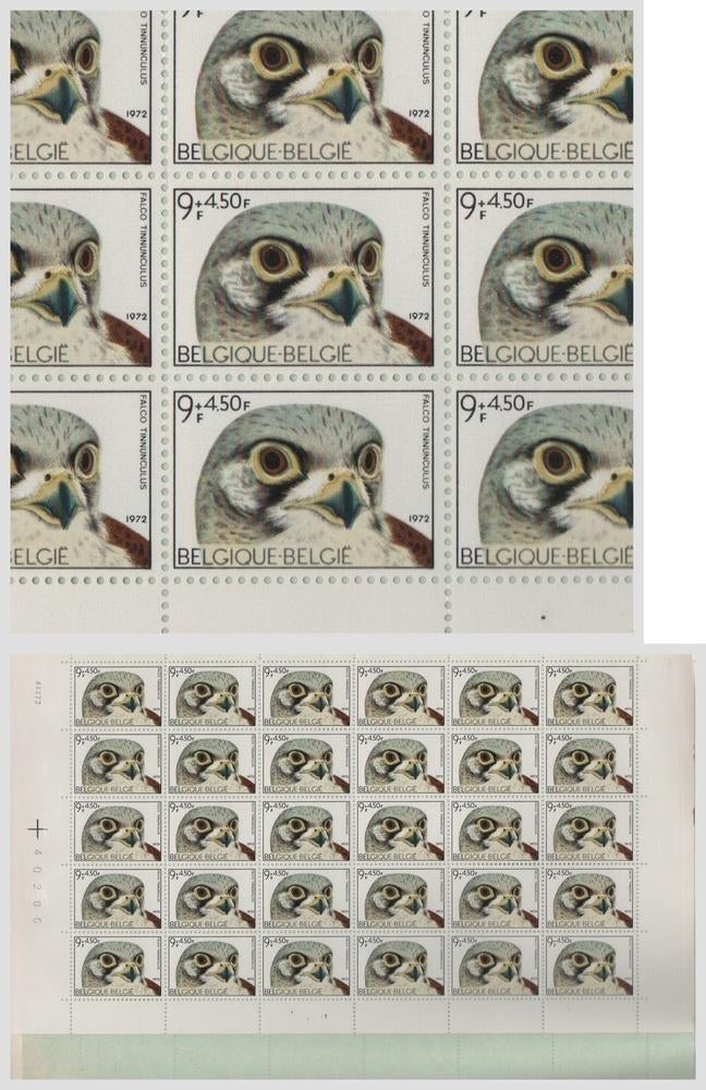 Birds Torenvalk 1972, Verzenden