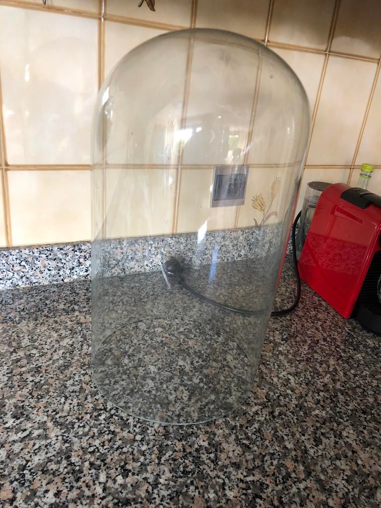 Globe en verre, Enlèvement, Comme neuf