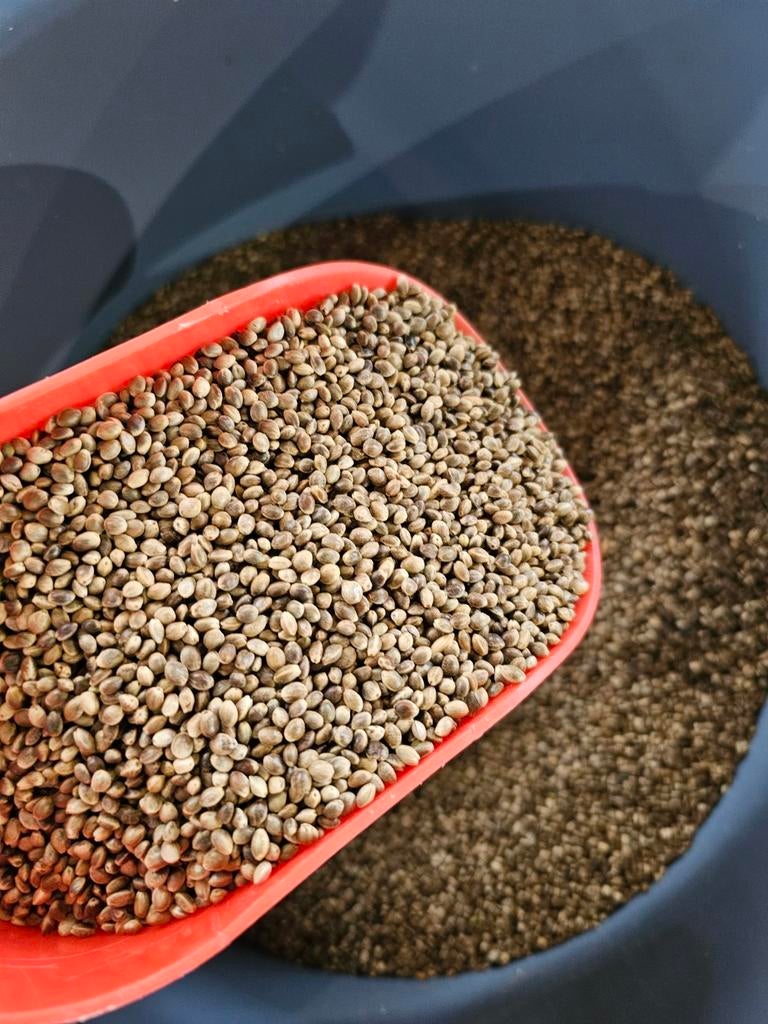 Graines de chanvre en stock, Enlèvement