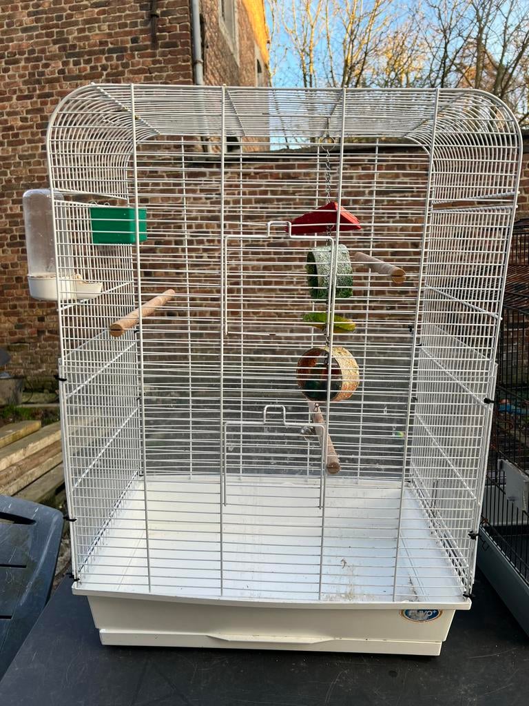 Vogelkooi, Ophalen, Gebruikt, Vogelkooi