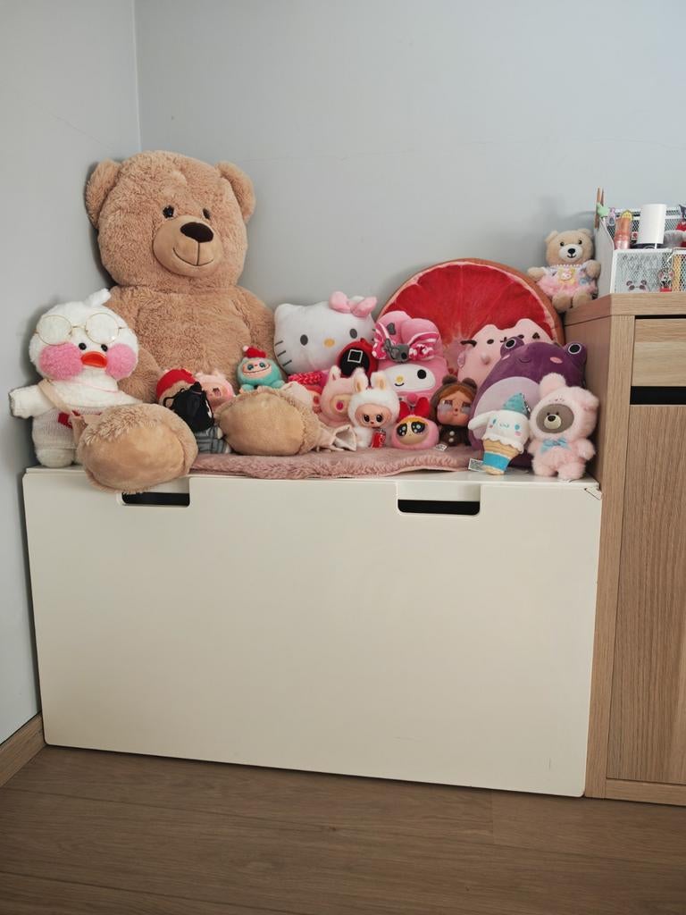 Opbergbank/Speelgoedkist ikea, Ophalen