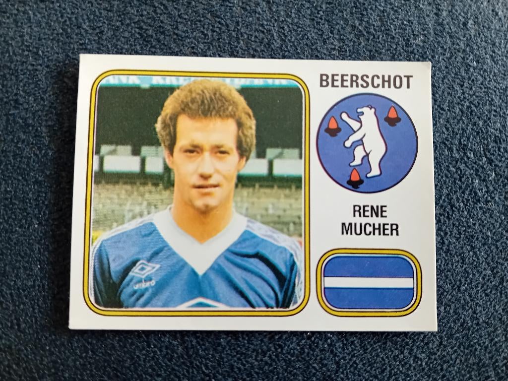 panini sticker Football 81 nr 53, Verzamelen, Stickers, Ophalen of Verzenden, Nieuw, Sport