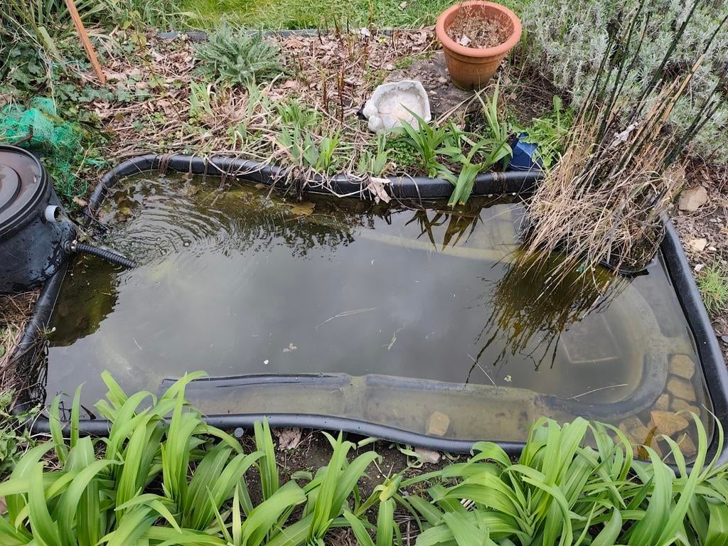 Poissons à donner, Jardin & Terrasse, Enlèvement
