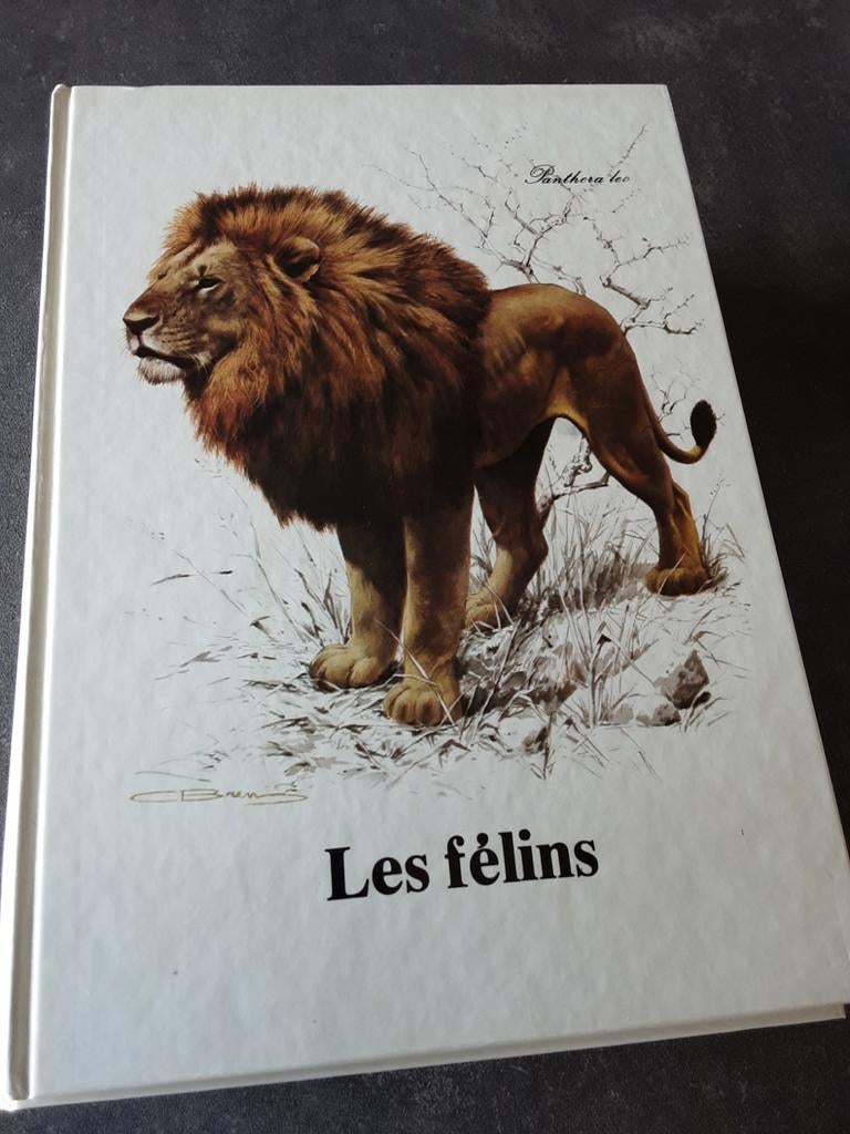 Lot de 5 albums, Ophalen, Zo goed als nieuw