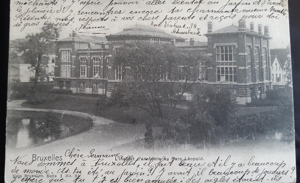 Bruxelles institut ANATOMY parc LEOPOLD rare, Collections, Enlèvement ou Envoi