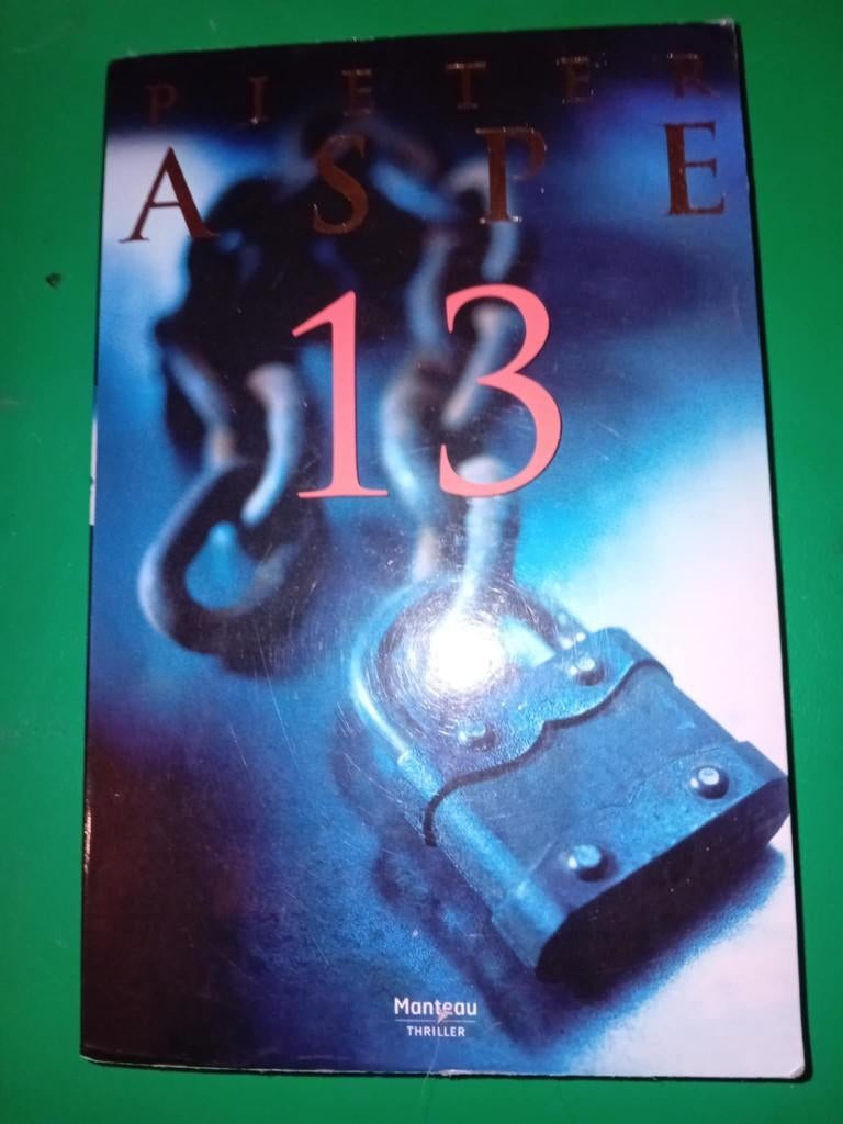 boek pieter aspe 13, Pieter Aspe, Ophalen of Verzenden, Zo goed als nieuw, Nederland