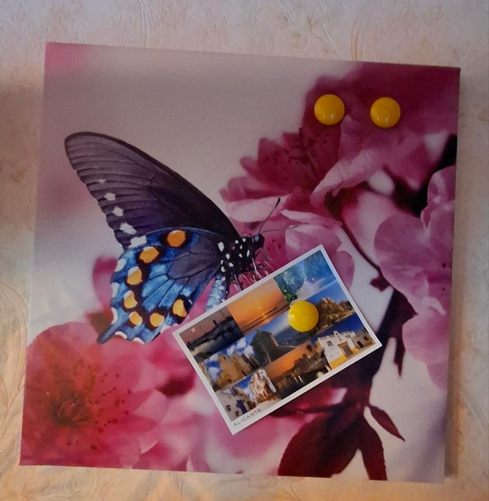 Uniek design magneetbord – stevig & decoratief (kunststof), Ophalen