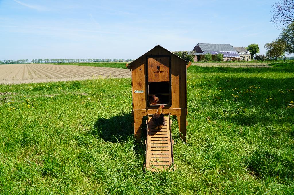 Trespa Kippenhok Cucciolotta Classic L | Op Pootjes, Dieren en Toebehoren, Pluimvee | Toebehoren, Ophalen of Verzenden, Nieuw