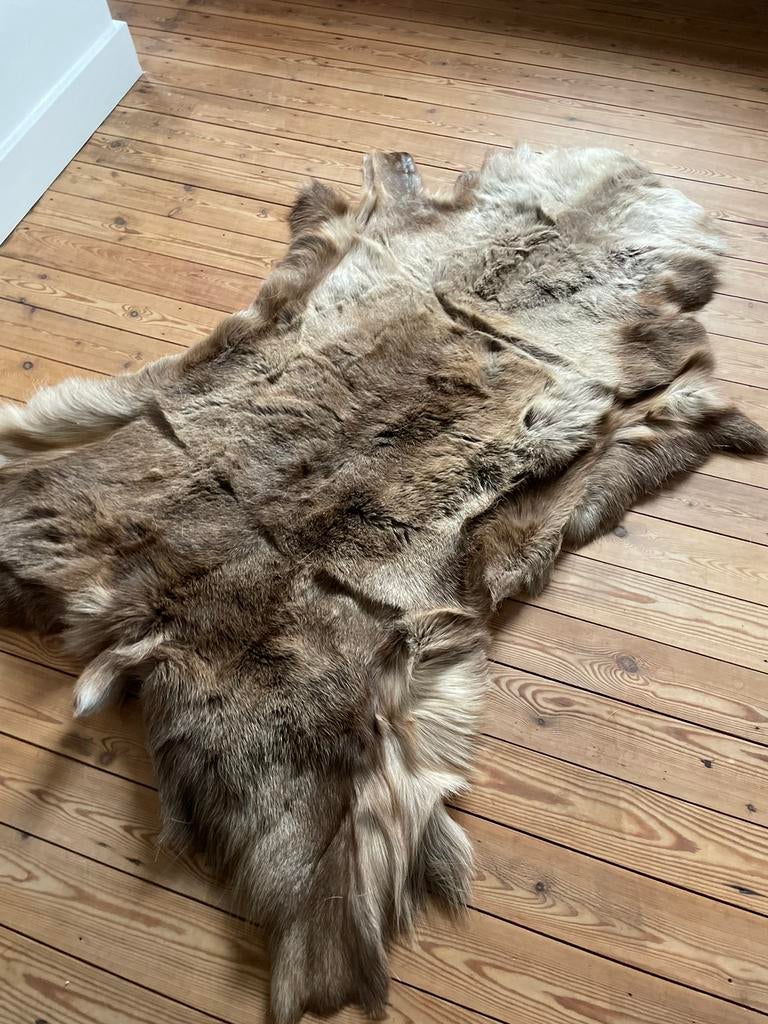 Très belle peau de gros renne - peau - tapis, Enlèvement ou Envoi, Comme neuf