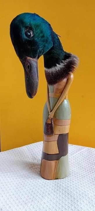 Taxidermie met keramiek. Opgezette eend. Woerd.Rariteit., Verzamelen, Dierenverzamelingen, Ophalen of Verzenden, Zo goed als nieuw