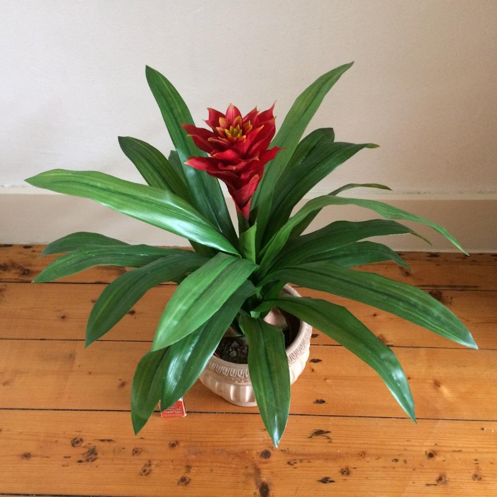 Bromelia Guzmania plante tube verte rouge réaliste en pot, Enlèvement ou Envoi, Comme neuf, Intérieur