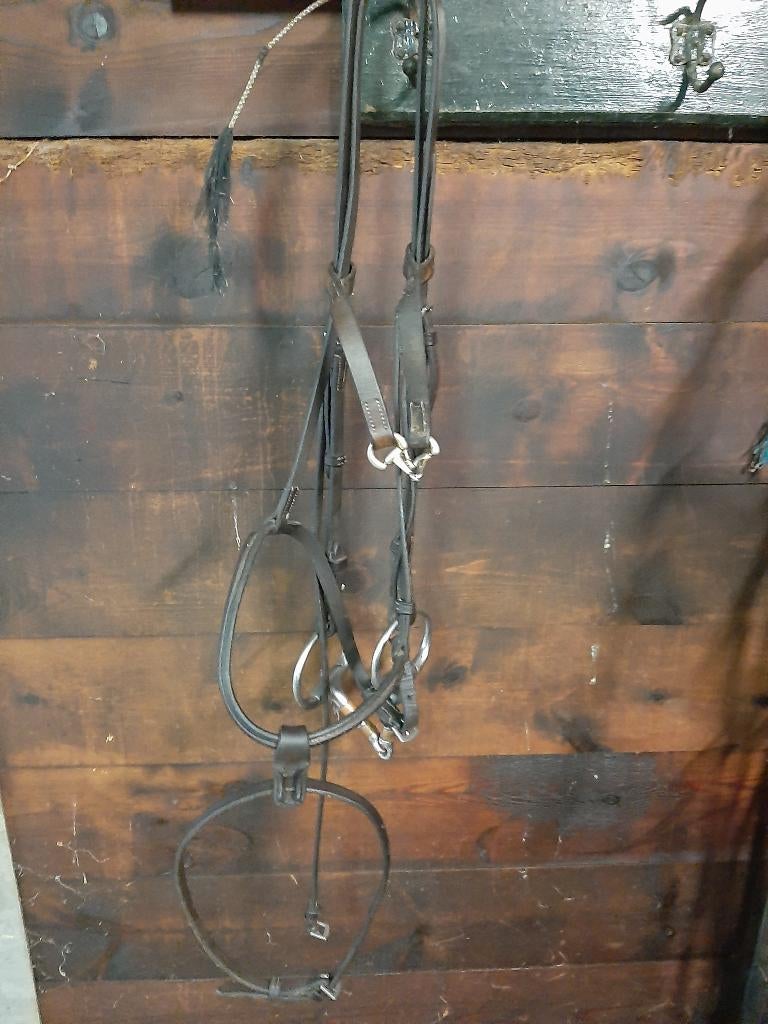 matériel d'équitation, Animaux & Accessoires, Chevaux & Poneys | Brides & Harnachement, Utilisé, Autres espèces, Enlèvement