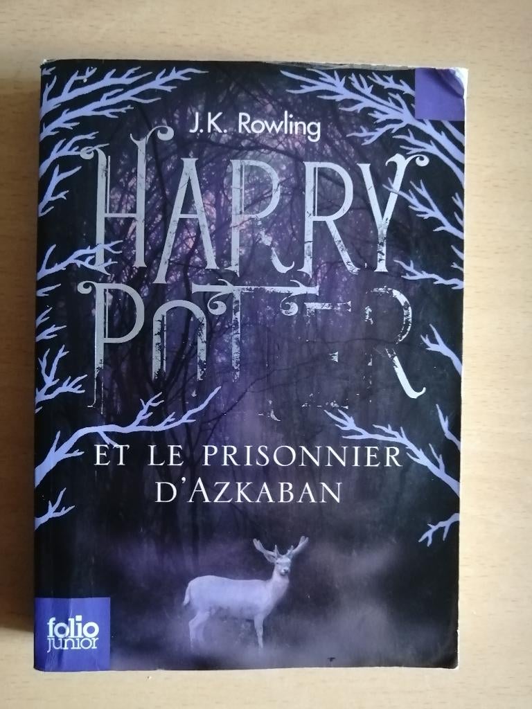 Harry Potter et le Prisonnier d'Azkaban de J.K. Rowling, Enlèvement ou Envoi