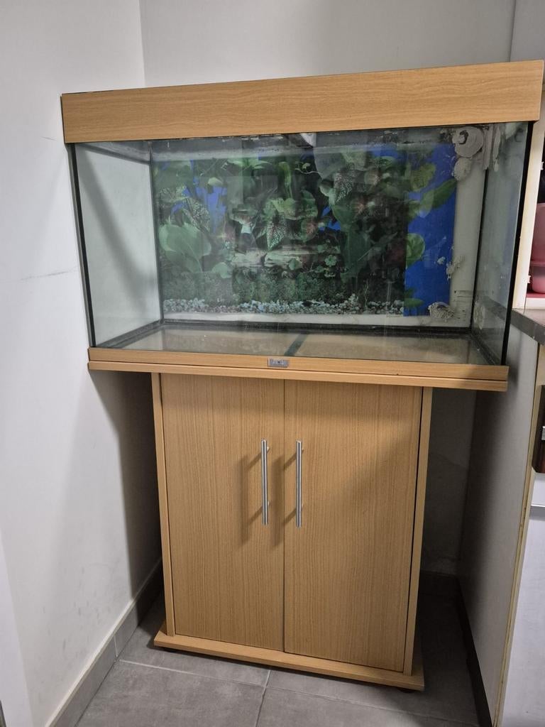 400€, Enlèvement ou Envoi