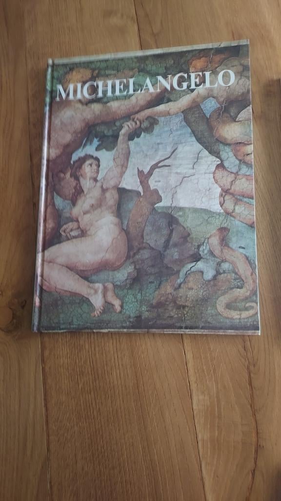 Kunstboek Michelangelo., Ophalen, Zo goed als nieuw