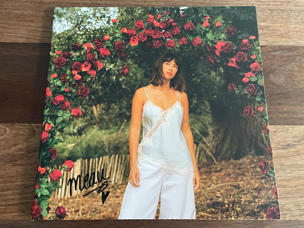 Vinyl LP Meau Liefde Onderschat GESIGNEERD NIEUW (Douwe Bob), Ophalen of Verzenden, Nieuw in verpakking, 12 inch, Pop