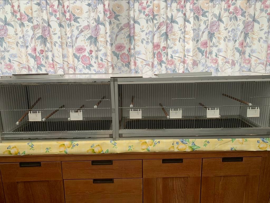 Kanarie kweekkooi 2/doorvliegkooi aan elkaar aluminium tresp, Dieren en Toebehoren, Vogels | Hokken en Kooien, Gebruikt, Broedkooi of Kweekkooi