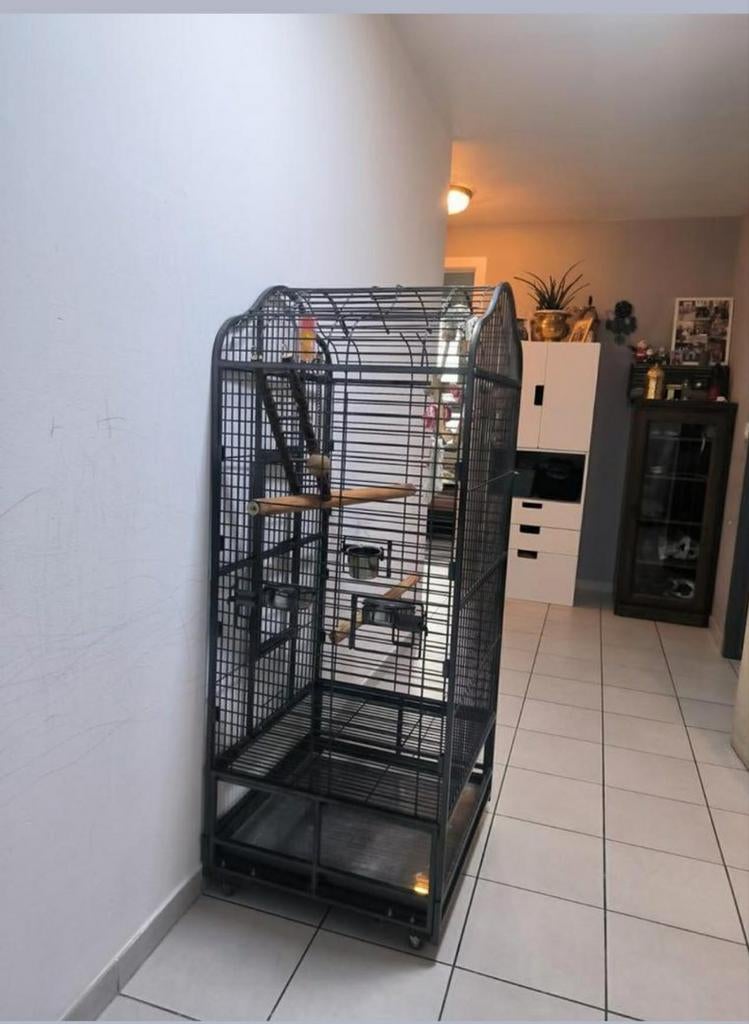 Papegaai kooi, Dieren en Toebehoren, Ophalen