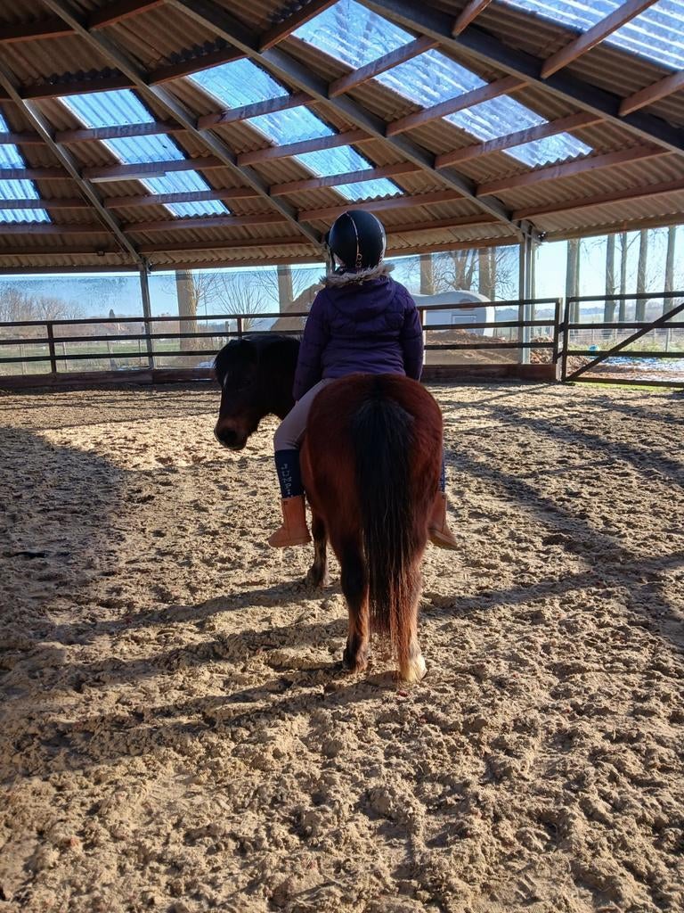 Une aide motivée à cheval est offerte, Enlèvement