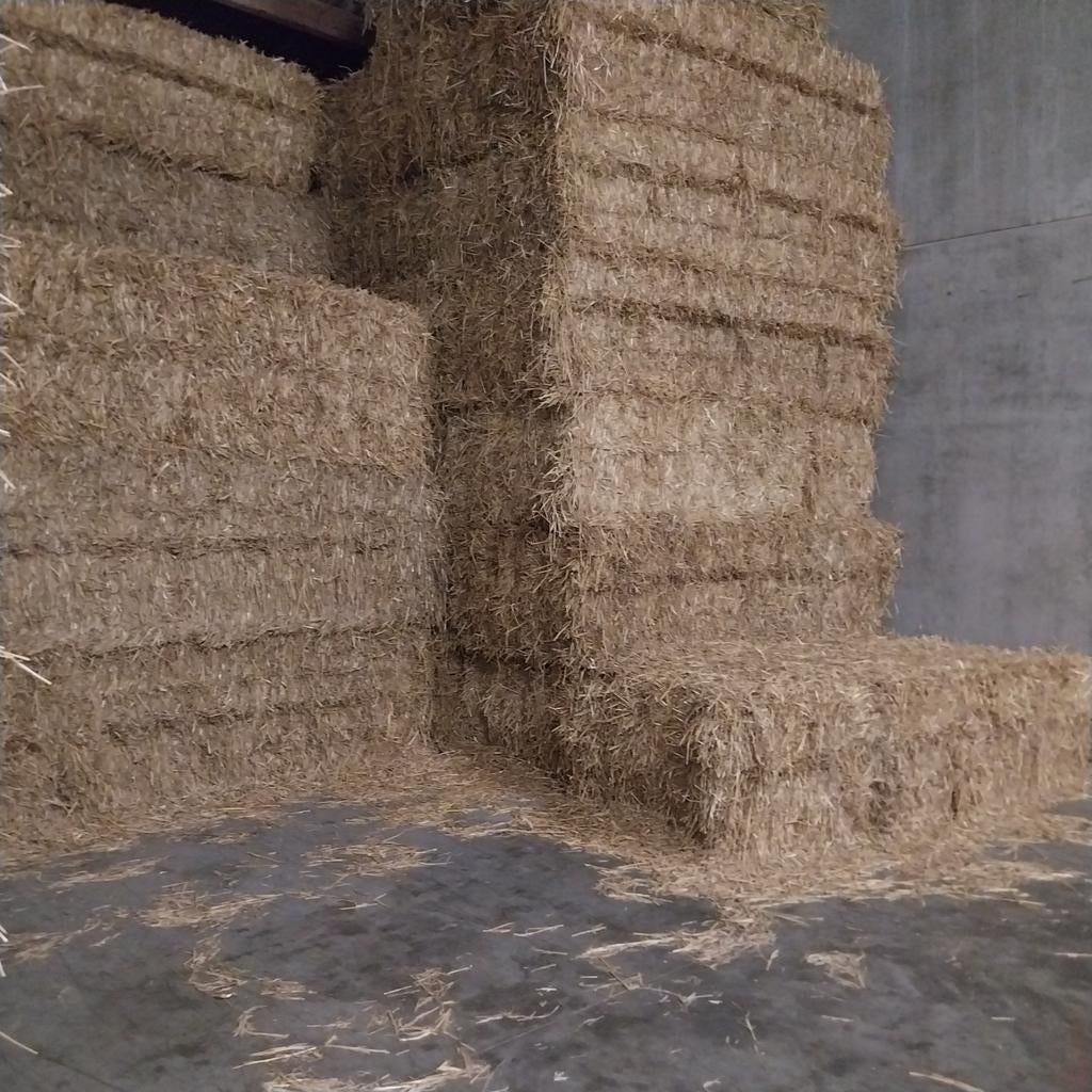 Grote pakken stro, Dieren en Toebehoren, Dierenvoeding, Ophalen