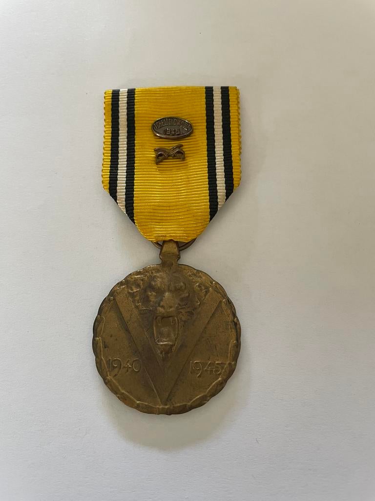 Médaille 1940-1945 Pilsen Tchécoslovaquie, Collections, Objets militaires | Seconde Guerre mondiale, Enlèvement ou Envoi
