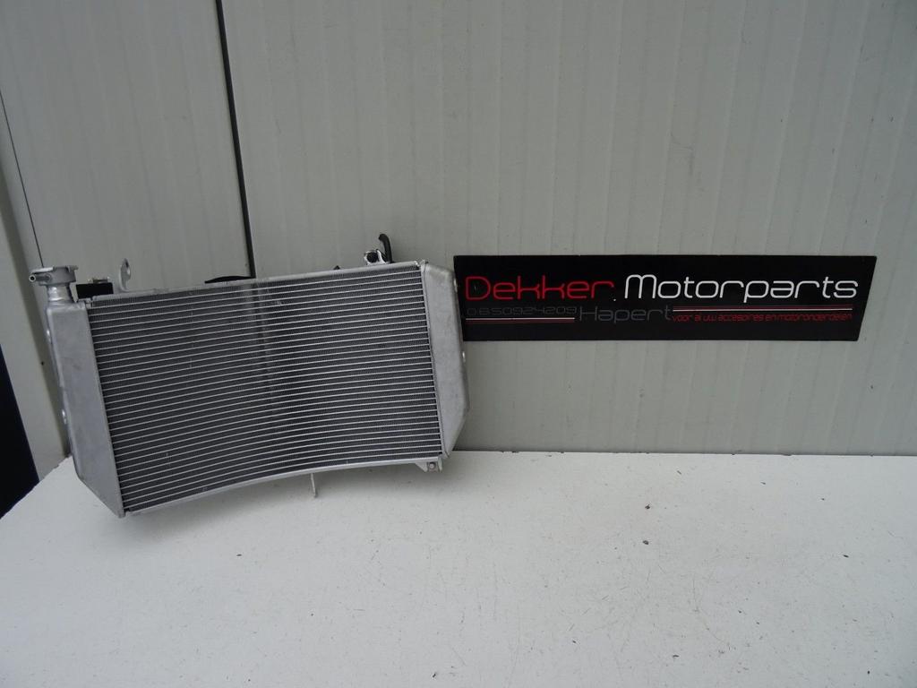 Radiateur / Koeler / Radiator Yamaha YZF R1 2015-2017-2020 >, -, -, Nieuw, Ophalen of Verzenden