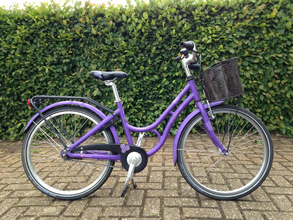 degelijke kinderfiets, Fietsen en Brommers, Fietsen | Kinderfietsjes, Ophalen, Nieuw, 20 inch of meer