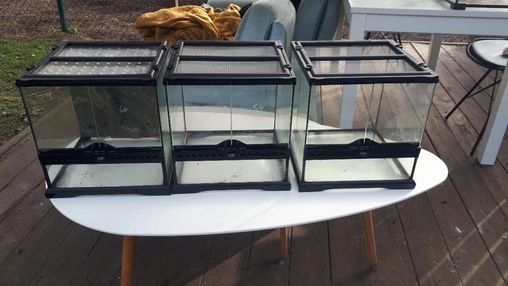 Exo terra 30x30x30 (3 stuks) terrarium, Ophalen, Zo goed als nieuw, Terrarium of Paludarium
