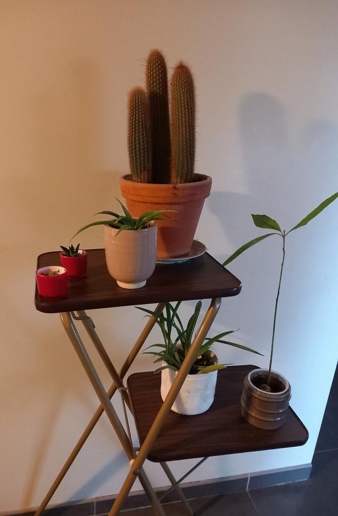 Table de projection/table d'appoint -> 35€, Maison & Meubles, Tables | Dessertes, Comme neuf, Enlèvement