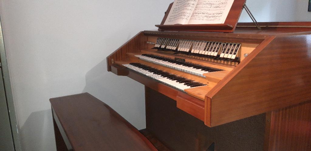 Elektrisch Orgel, Muziek en Instrumenten, Orgels, Ophalen, Gebruikt, 2 klavieren, Orgel