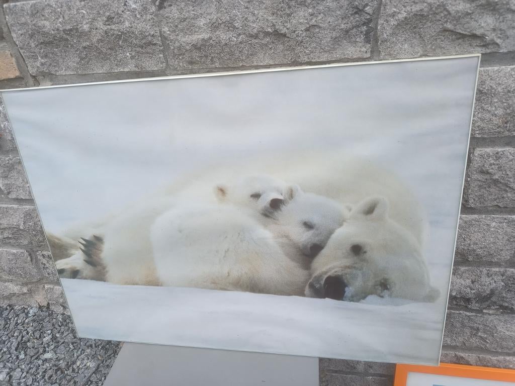 Glazen kader met mooie foto / 70 cm x 50 cm, Huis en Inrichting, Ophalen