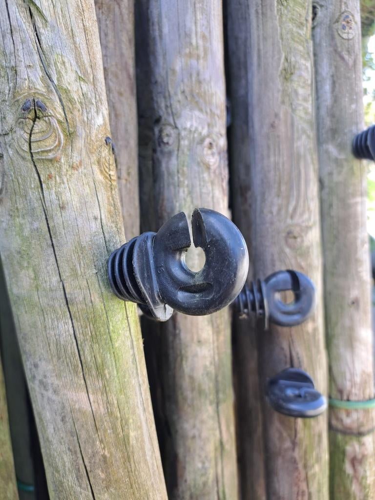 weipalen paard, Enlèvement, Utilisé, 250 cm ou plus, Poteaux