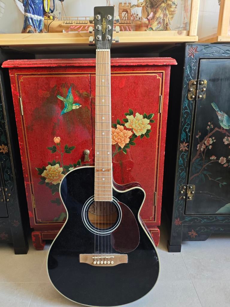 Electro akoestische gitaar Hudson, Ophalen