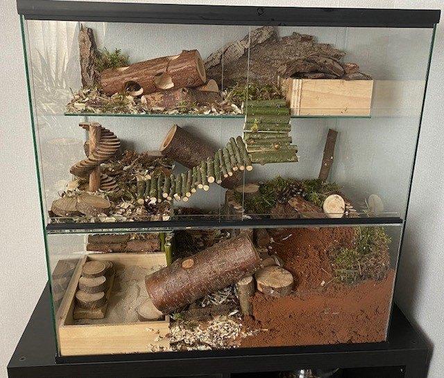 Terrarium voor gerbil 60x40x60 – Hamsterscaping, Dieren en Toebehoren, Minder dan 60 cm, Ophalen of Verzenden, Hok, Minder dan 75 cm