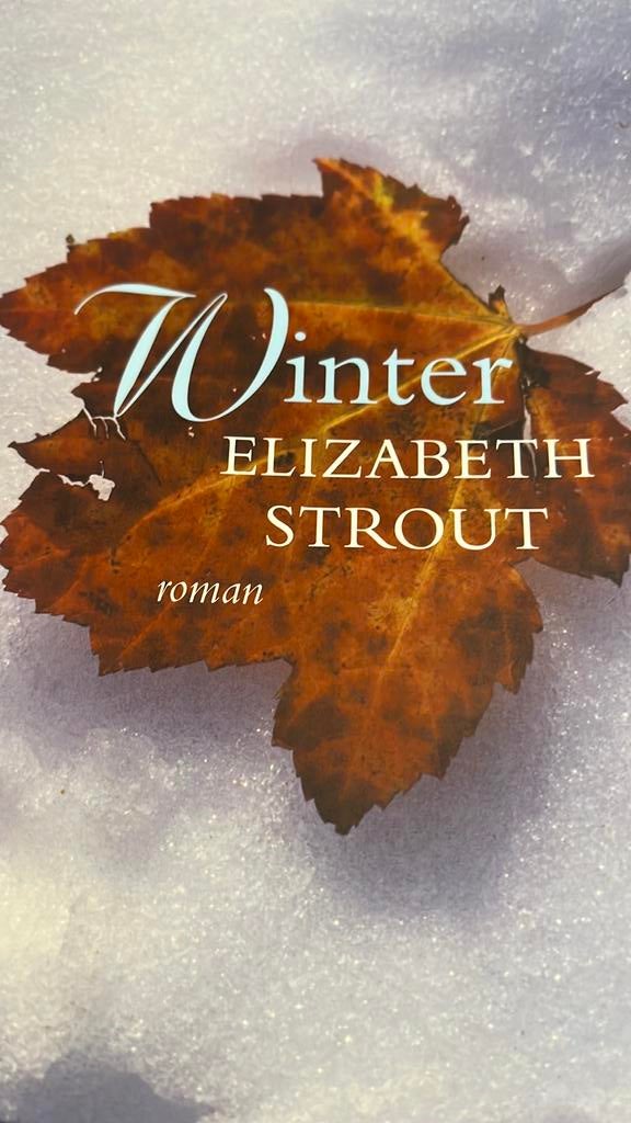 Elizabeth Strout - Winter, Boeken, Literatuur, Ophalen of Verzenden