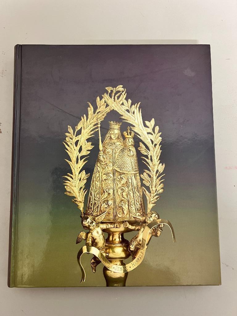Virga Jesse. De schat van de Hasselaar., Livres, Histoire & Politique, Utilisé, 17e et 18e siècles, Enlèvement ou Envoi
