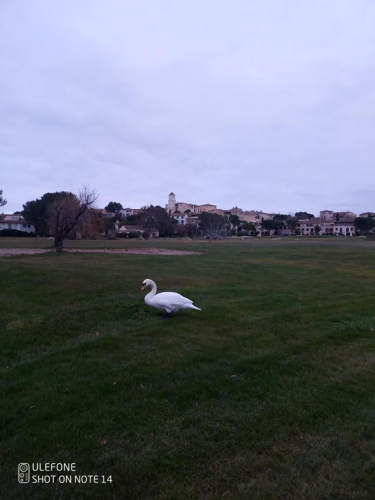 APPART 45 M2 GOLF PONT ROYAL FRANCE, Immo, Maisons à vendre