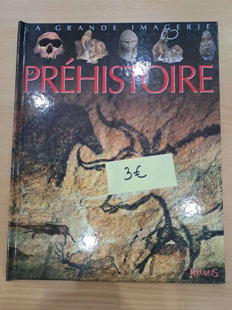 La grande imagerie de la préhistoire - Manuel scolaire Eveil, Livres, Enlèvement, Neuf, Primaire, Histoire