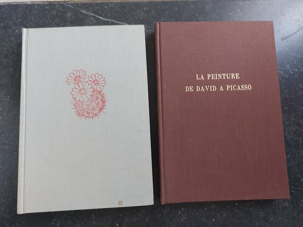 2 livres Artis Historia, Boeken, Geschiedenis | Nationaal, Gelezen