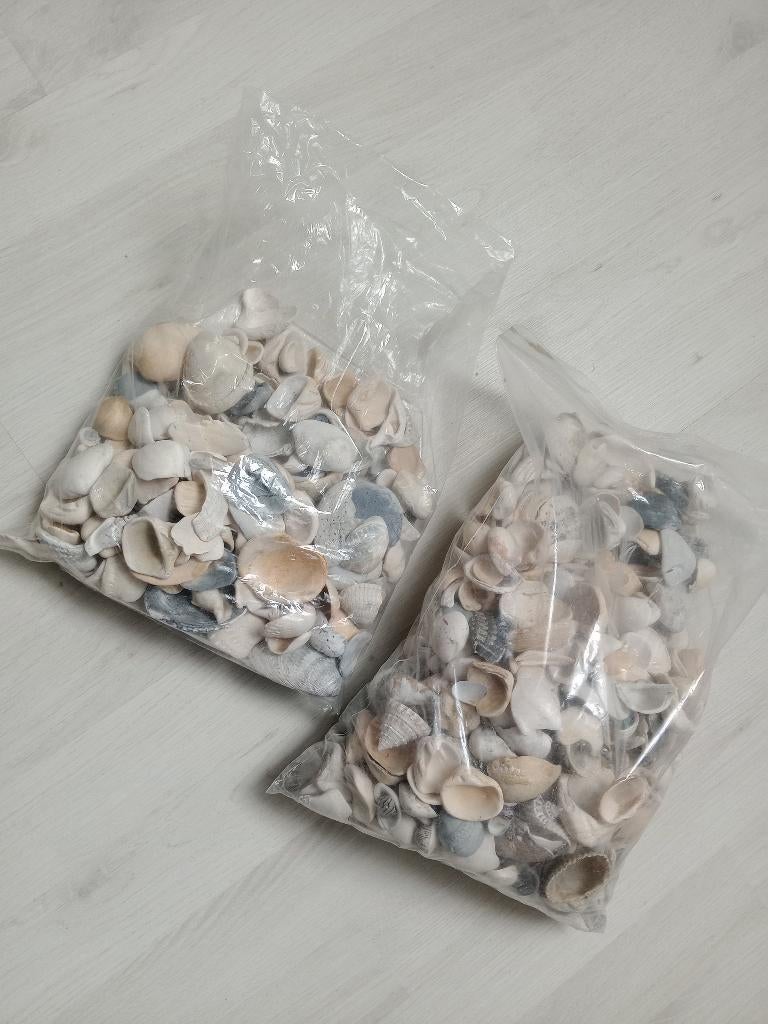 Strandschelpen, Ophalen, Gebruikt, Knutselwerk