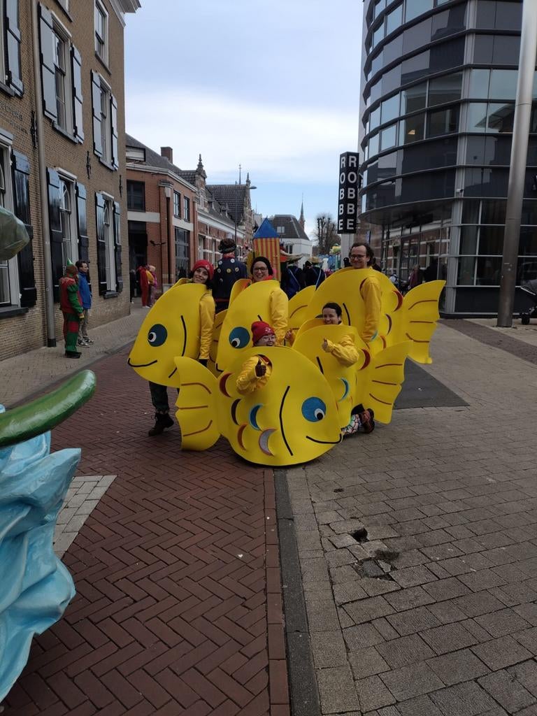 5x vïssenpakken carnaval met bijbehorende broeken, Kleding | Dames, Ophalen