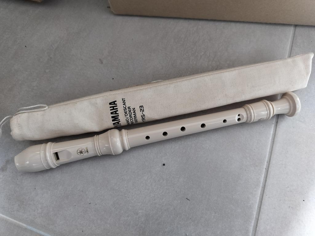 Blokfluiten: Yamaha, Mollenhauer, Belcanto., Enlèvement