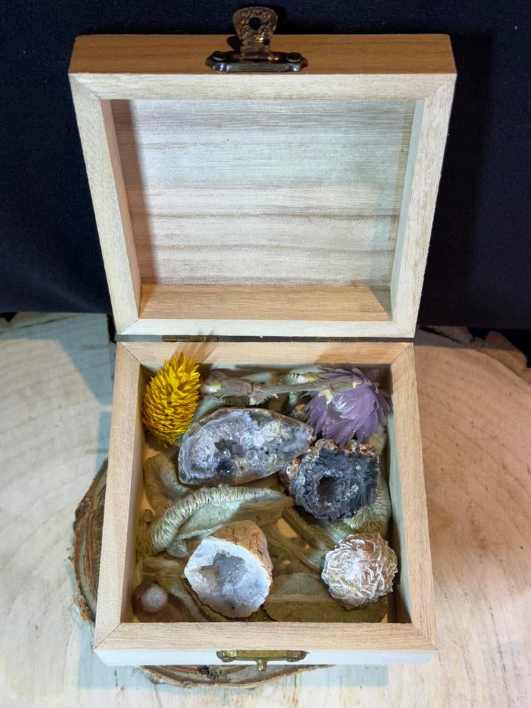 Boîte minérale avec géodes et rose du désert, Enlèvement ou Envoi, Minéral