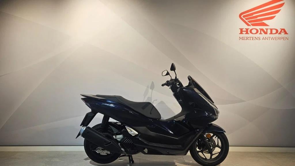 Honda PCX125 (année de construction 2025), Motos, Motos | Honda, Entreprise, Scooter, jusqu'à 11 kW