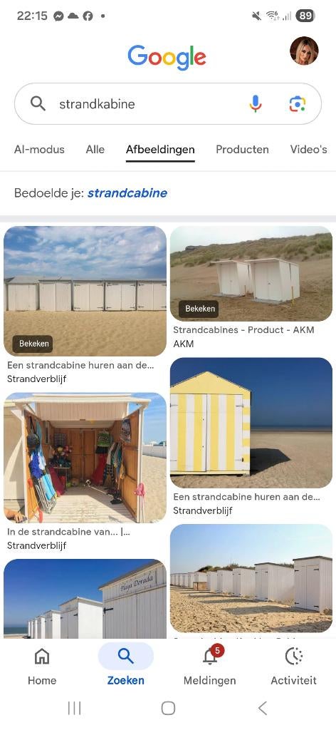 Strandcabine, Ophalen, Gebruikt, Tuinhuis