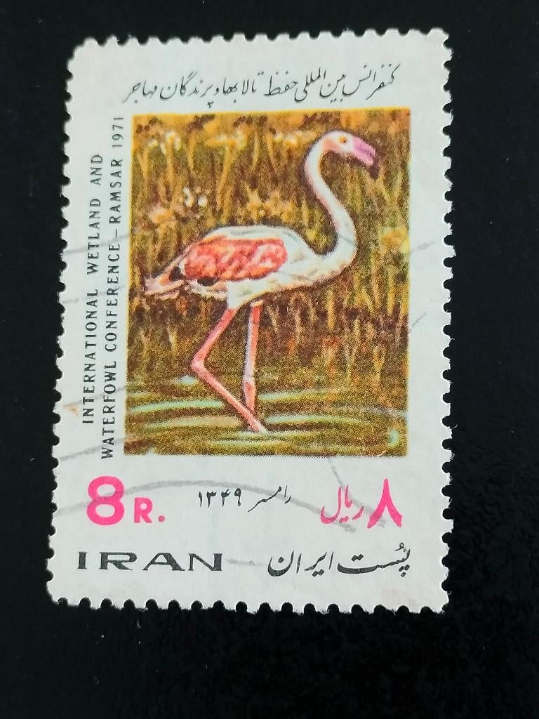 Iran 1971 - oiseaux - Flamant rose, traité de Ramsar, Envoi, Affranchi, Moyen-Orient