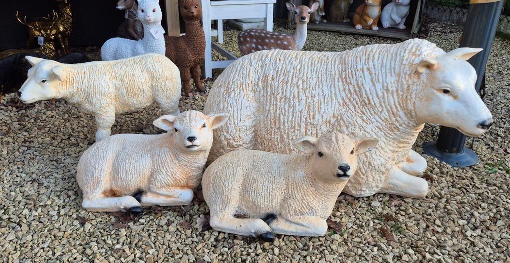 Texel schapen,  en lammen ,polyester, Ophalen, Nieuw, Kunststof, Dierenbeeld